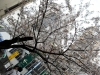 <SAMSUNG DIGITAL CAMERA>