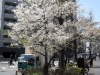 <SAMSUNG DIGITAL CAMERA>